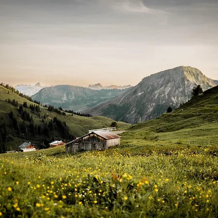 Laendle ホテル ダーミュルス