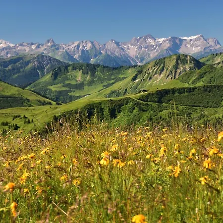 Laendle ホテル 3*