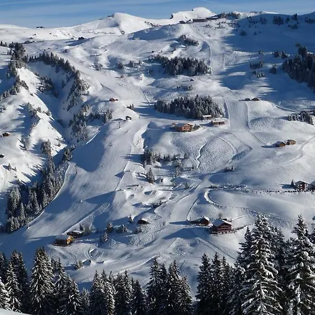 Laendle ホテル 3*